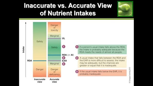 Guide to Diet Recommendations (DRI, RDA, EER, etc) смотреть онлайн