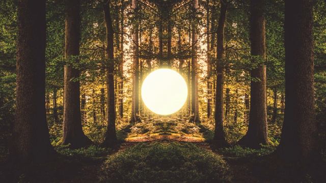 Music For WIM HOF BREATHING (30 Min Journey) | Breathwork Beats #5