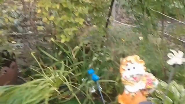 Мох вокруг прудика смотреть онлайн