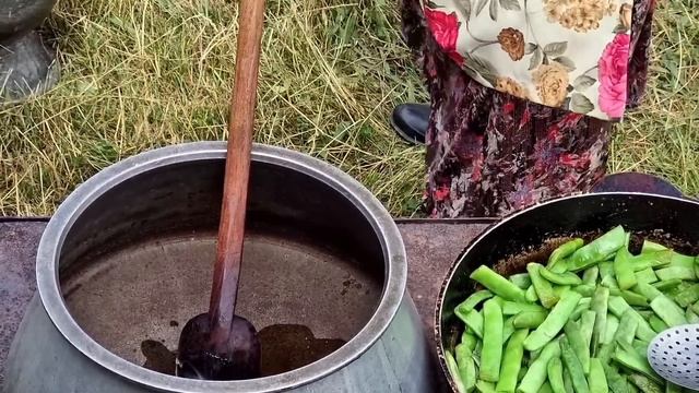 Почему Я не Знала Этого Рецепта Раньше? Жареная Зеленая Фасоль. смотреть онлайн