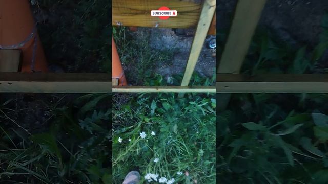 Цоколь веранды на сваях ЧАСТЬ 1 #shorts смотреть онлайн