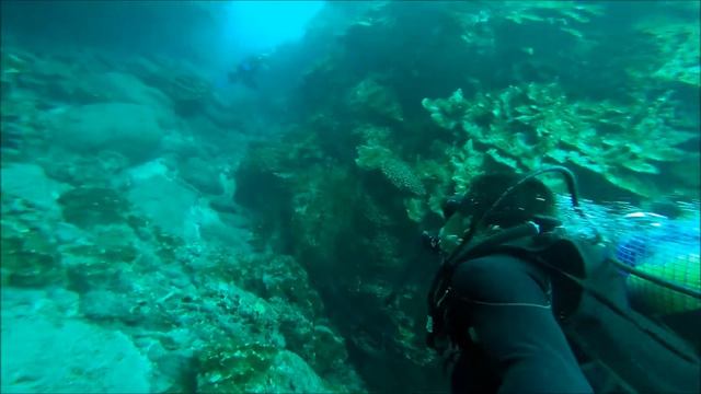 Buceo Rapa Nui смотреть онлайн