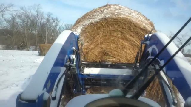 Winter Hay Hauling - Best Ways for Efficiently Feeding Hay to Cattle смотреть онлайн