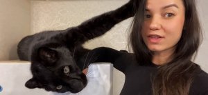 Домашняя жизнь леопарда Луны??