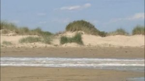 ЗЕРКАЛО ЗАДНЕГО ВИДА BMW Х1 E84