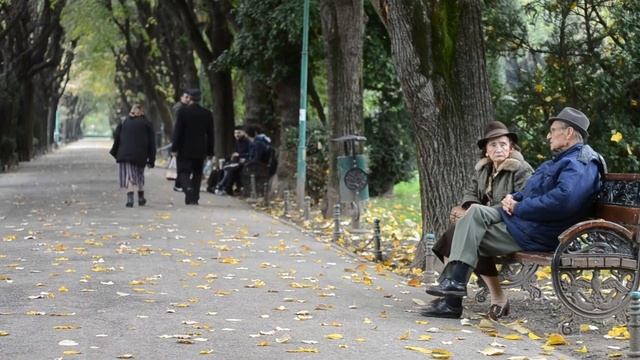 Петр Давыдов: Что делать, если стареет мама? [стихи] смотреть онлайн