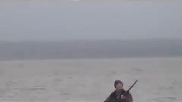 Охота с Чесапик бэй ретривером смотреть онлайн