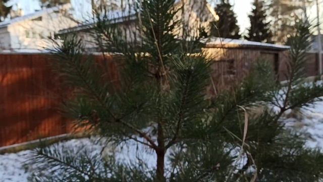 Заброшки в Королёве (1 часть) смотреть онлайн