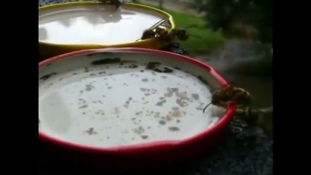 Дизайн и Стройка