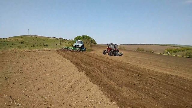 Предпосевная культивация почвы на МТЗ /Moldova смотреть онлайн