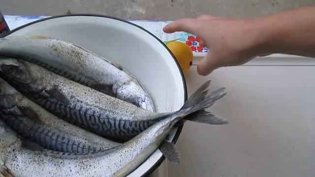 Скумбрия горячего копчения. Mackerel Smoked.
