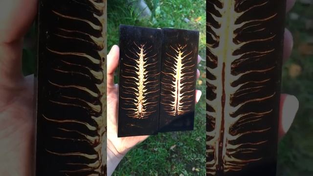 Композитный брусок. Стабилизированная шишка в черном. смотреть онлайн