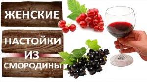 Настойка на смородине. Рецепт быстрой настойки на самогоне или водке из смородины для женщин.