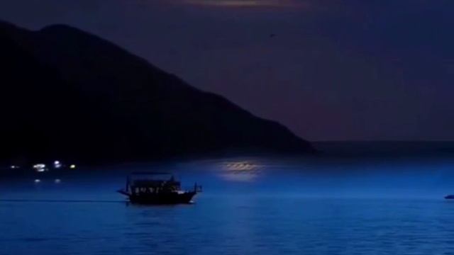 «сад души» автор Арай Байтанат #поэзия #поэзияменіңжүрегімде #стихи #youtube #душа смотреть онлайн