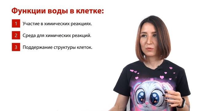 Вода и минеральные вещества клетки | ЕГЭ-2024 по биологии смотреть онлайн