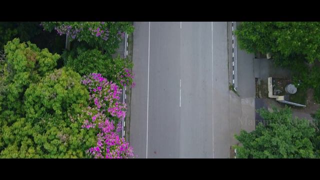 Ajar Magic Of Nature l Guwahati University l Maram & Maina смотреть онлайн