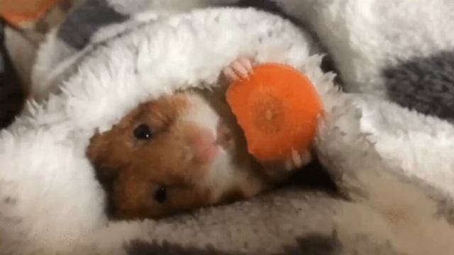 Чужое мнение | Как перестать беспокоиться смотреть онлайн