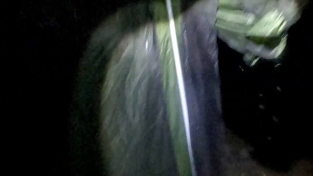 Рыбалка на Амуре в селе Петропавловка. Пытались поймать крупных сазанов. смотреть онлайн