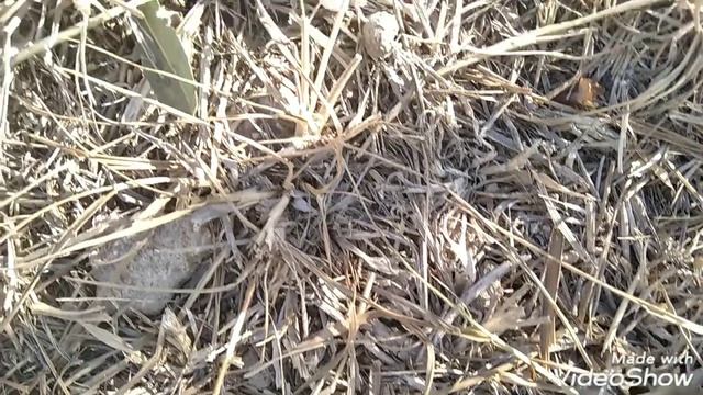 Все разбитые самолëты. Boeing 12 | Boeing 747 | Boeing 777 | Boeing 737 смотреть онлайн