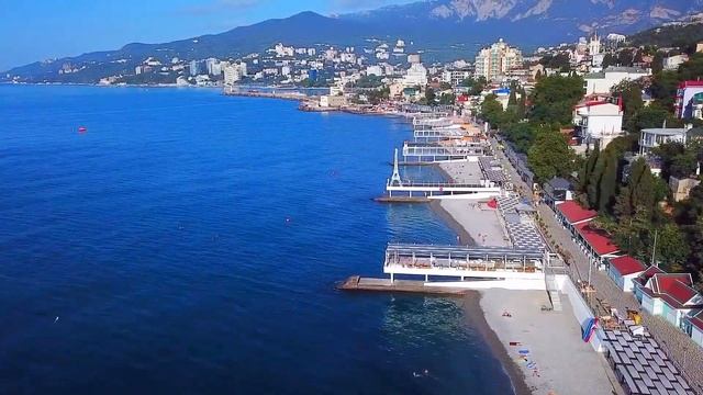 Ялта глазами чаек. смотреть онлайн