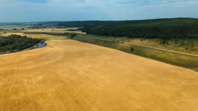 Полёт над полями. На квадрокопторе смотреть онлайн