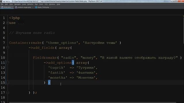 Радиокнопки в Carbon Fields 1.6 - произвольные поля в Wordpress смотреть онлайн