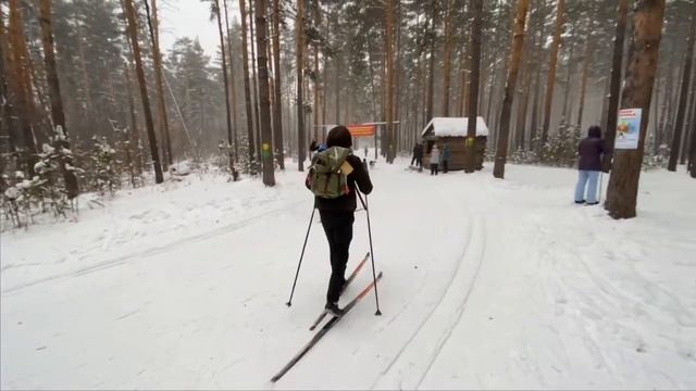 ВЕШАЕМ САМОДЕЛЬНЫЕ КОРМУШКИ ДЛЯ ПТИЦ ПОКАТАЛИСЬ НА ЛЫЖАХ смотреть онлайн