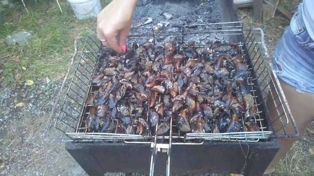 Агой. Улов мидий. Готовка. смотреть онлайн