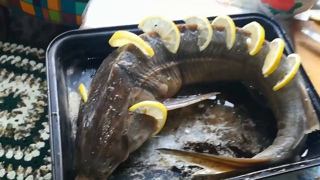 Ухта ! День пятый и шестой ! Лучшие друзья , дача , общение , приготовление рыбы в печи , баня ! смотреть онлайн