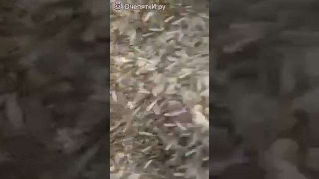 Строительные Тайны