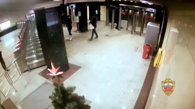 В Москве на станции метро "Трубная" пьяный приезжий попытался перепрыгнуть через турникет. смотреть онлайн