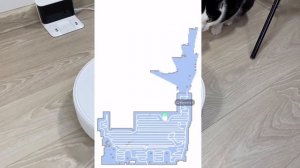 НАКОНЕЦ-ТО ИДЕАЛЬНЫЙ РОБОТ ПЫЛЕСОС Dreame D9 Max Моющий