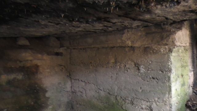 Лес 30 (Перевесье). Немецкое бетонное укрытие (321) периода ПМВ смотреть онлайн