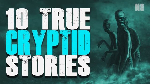 10 TRUE Cryptid Stories from Reddit | Nightmarathon #8 | Raven Reads смотреть онлайн