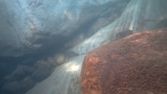 Ловля рыбы на самодельные ловушки из бутылок. Эксперимент не удался! смотреть онлайн