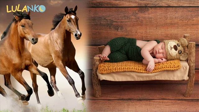 Окружающий шум из скачущих лошадей 10h смотреть онлайн