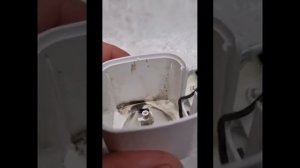 Разборка умной розетки с wifi