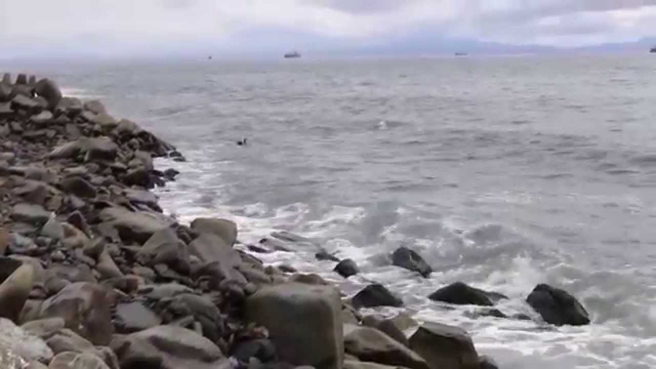 Морские волны Бухта Тихая смотреть онлайн