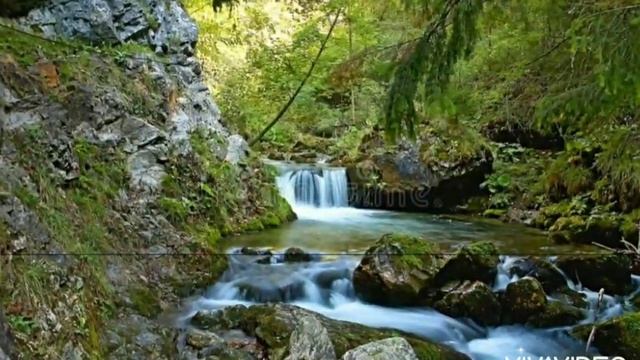 Відеопозія. Ф. Тютчев "Весенняя гроза" смотреть онлайн