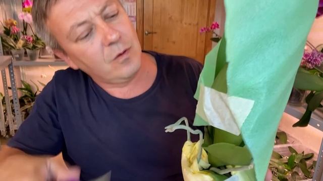 ОРХИДЕЯ по ПОЧТЕ ЧУДОМ УЦЕЛЕЛА распаковка орхидеи НЕ мне смотреть онлайн