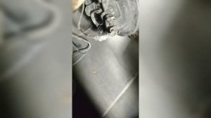 замена лампочки противотуманки на SsangYong Rexton 2