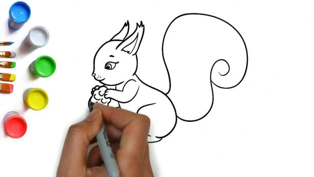 Как нарисовать белку с шишкой легко, красивые рисунки и раскраски для детей, идеи для рисования смотреть онлайн