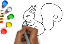 Как нарисовать белку с шишкой легко, красивые рисунки и раскраски для детей, идеи для рисования