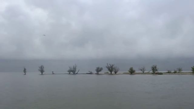 Устье РЕКИ Дон. смотреть онлайн