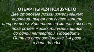 Как лечить артроз? 5 рецептов народной медицины для лечения артроза в домашних условиях от травника