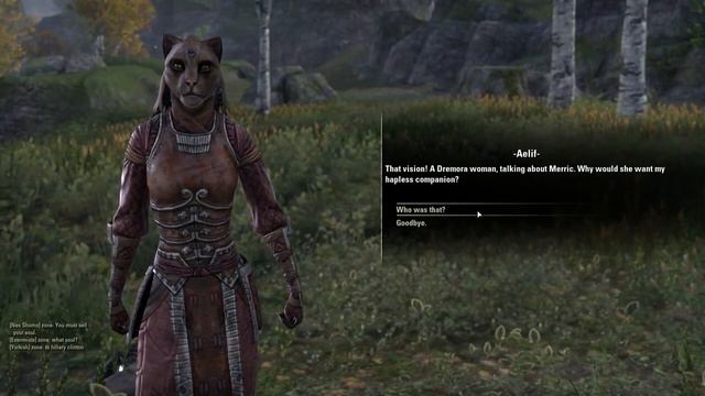 The Elder Scrolls Online (Sorcerer) - Episode 4 - A King's favor смотреть онлайн