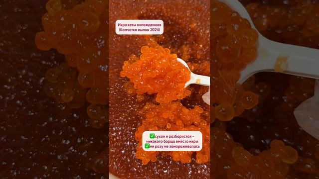 ИКРА КЕТЫ (Камчатка, вылов 2024)