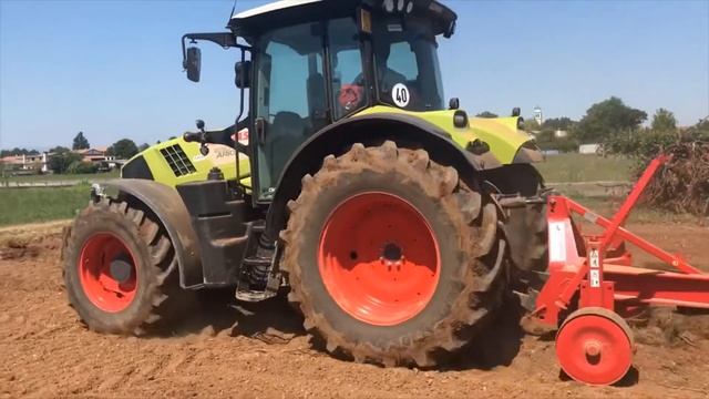 Ripuntatura con Claas Arion 630 per futuro vigneto смотреть онлайн