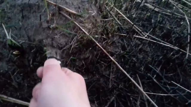 |Делаю терариум Дома| смотреть онлайн