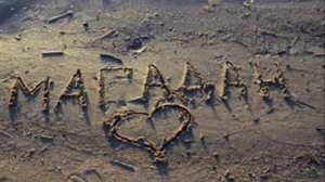 Мой номер 245